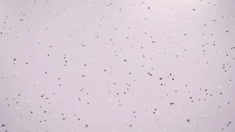 Subtle purple terrazzo texture background animation Video stock 304128700