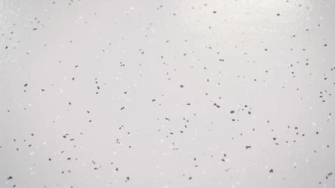 Subtle purple terrazzo texture background animation Stock Photos