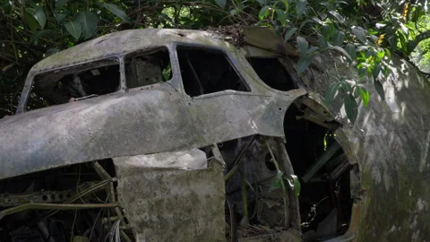 Subtle Push In to Front Left of Abandoned Plane Wreck in Jungle Stock Footage 314920581