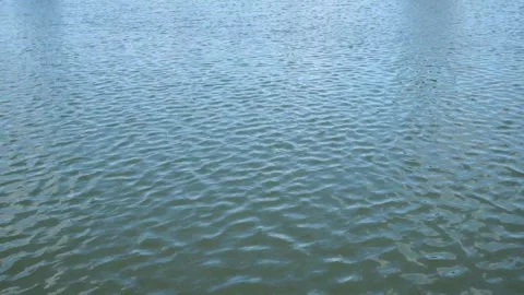 Subtle Reflection Wavy Water Surface Video stock 327577577