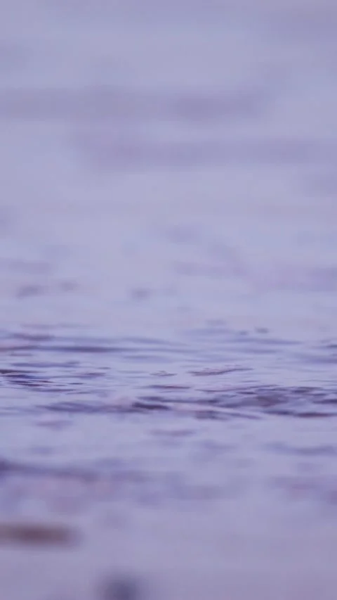 Subtle Ripples on a Calm Water Surface in Soft Light Stock Footage 335197835
