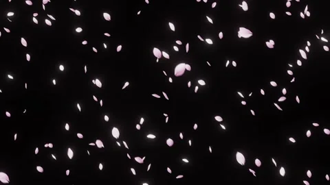 Subtle Sakura Petals Overlay for Title Backgrounds 스톡 동영상 326194549