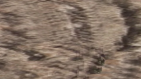 Subtle shades blend in a striated pattern of grays and blacks, creating a modern Stock Footage 311881279