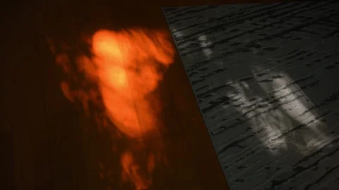 Subtle shadows of tree branches on a room with wooden floor Stock-Footage 313817657