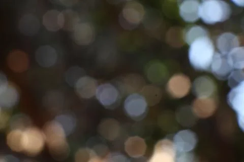 Subtle Symphony of Spherical Light An Intimate Dance of Bokeh Shadows Stock Photos