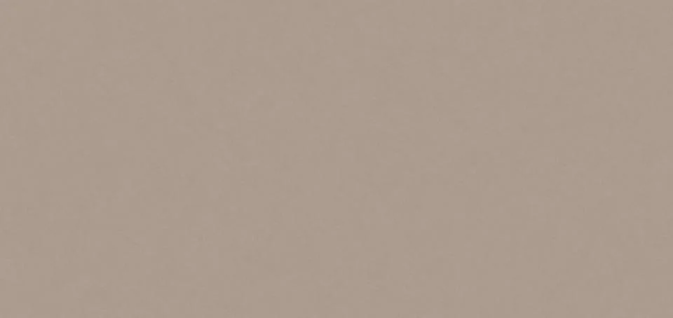 Subtle Taupe Fine-Grained Texture Background Neutral Earthy Tone Matte Poro.. 스톡 사진