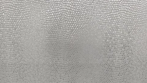  Subtle textured surface with repeating circular patterns, abstract backg.. 库存照片