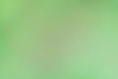 Subtle variations in green hues create a soft, soothing abstract backdrop, .. Stock Photos