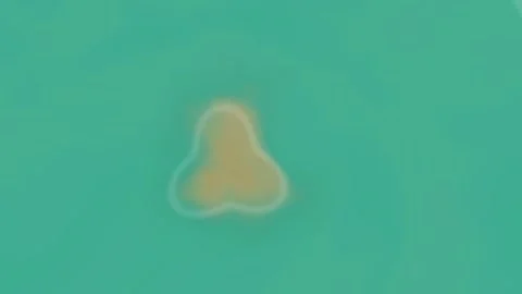 Subtle water distortion creates an intriguing, mysterious visual effect Stock Footage 325539646