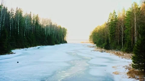 Subtle Winter Arrival, First Ice Envelopes Forest Stream Under Pine Watch Stock Footage 257779505