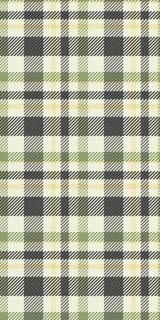 Subtle yet striking, this muted plaid pattern exudes understated elegance.  P イラスト素材