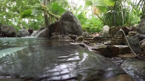 Subtropical pool Stock Footage 40911721