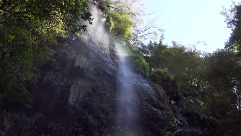 Subtropical Rainforest Waterfall 1 Stock Footage 154383425