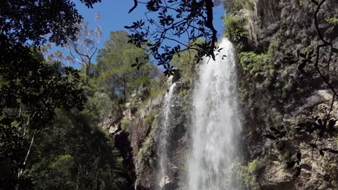 Subtropical Rainforest Waterfall 2 Stock Footage 154383426