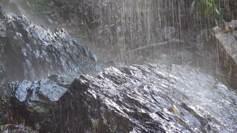 Subtropical Rainforest Waterfall Base close up Stock Footage 154383440