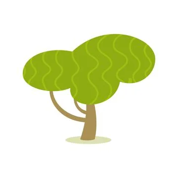 Subtropical tree with cloudlike foliage crown Stock Illustration