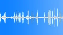 Suburb birds loop Sound Effect