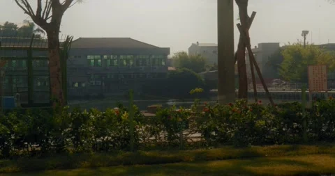 Suburb Dock View With Tree, Flower And Building In Summer Stock Footage 230915612