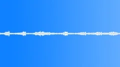 Suburban ambience bird twitter 01 loop Sound Effect