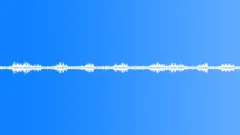 Suburban ambience bird twitter 02 loop Sound Effect