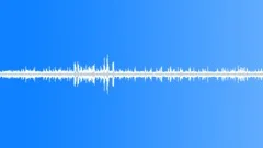 Suburban ambience bird twitter 05 loop Sound Effect