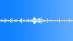Suburban ambience bird twitter 06 loopSound Effect