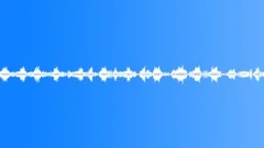 Suburban ambience birds spring morning 01 loop Sound Effect