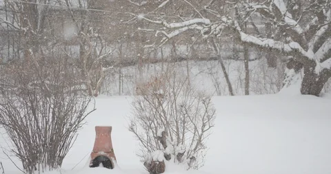 Suburban backyard snow falling Stock-Footage 90276102