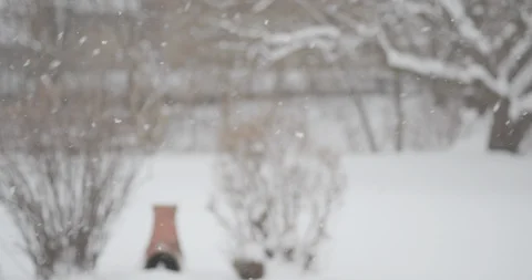 Suburban backyard snow falling in slow motion. Stock-Footage 90273483