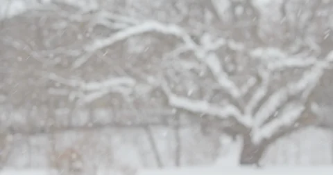 Suburban backyard tree snowfall in slow motion 스톡 동영상 90273630