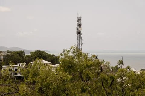 Suburban Communications Tower Behind Trees Stock Photos
