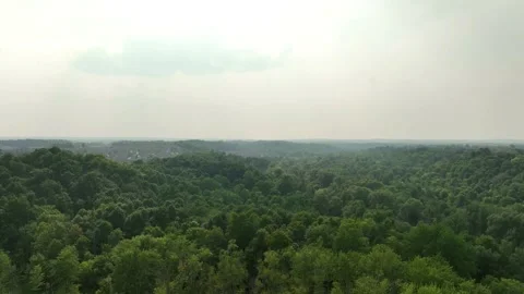 Suburban Edge Under Forest Wildfire Smoke Haze 스톡 동영상 314904321