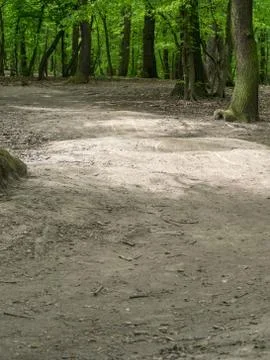 Suburban forest devastation Stock Photos