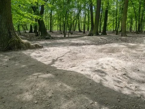 Suburban forest devastation Stock Photos