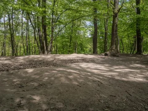 Suburban forest devastation Stock Photos