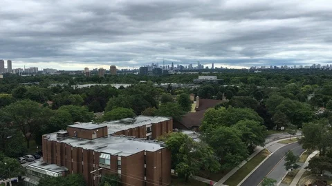 Suburban Jungle Stock Footage 100737984