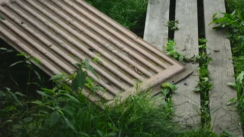 Suburban plot of greenery Stock Footage 78980385