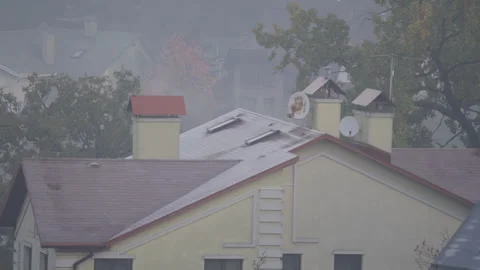 Suburban Rooftops and Trees in Heavy Morning Fog Stock Footage 335381439
