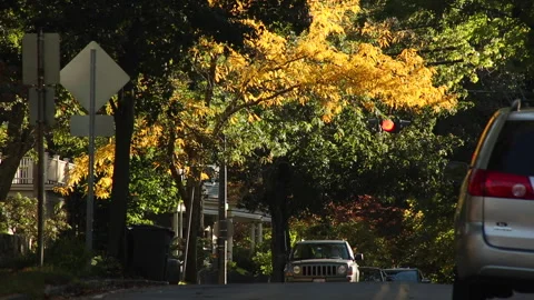 SUBURBAN TRAFFIC Stock-Footage 181007406