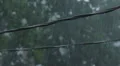 Suburban wires during heavy rain. Closeup. HD Footage