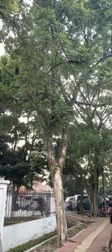 Suburbs Stock Photos