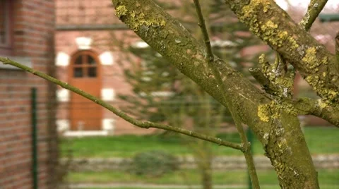 Suburbs scene Video stock 7766142