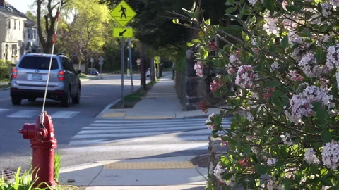 SUBURBS IN SPRING Stock Footage 194383687