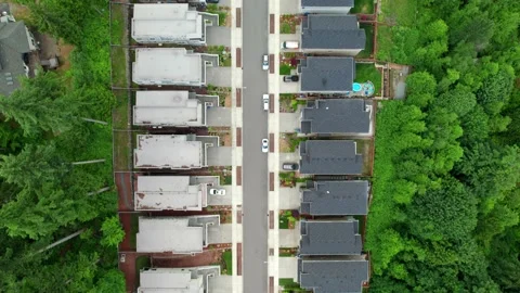 The Suburbs Top Down View of Houses 動画素材 155584062