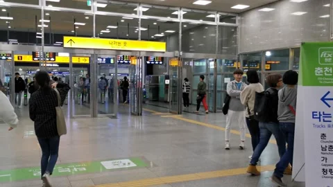 Subway Commuter Train Stock Footage 146326841