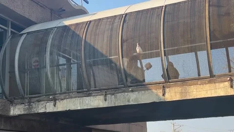 Subway passengers though via overhead bridge on Didube metro station Stock Footage 304562897
