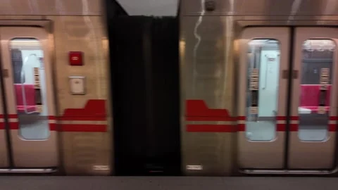 Subway Train with Closed Doors at Platform Stock Footage 308581388