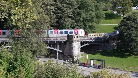 Subway Train Crossing Bridge Amidst Greenery near Landungsbrücken in Hamburg Stock Footage 296058033