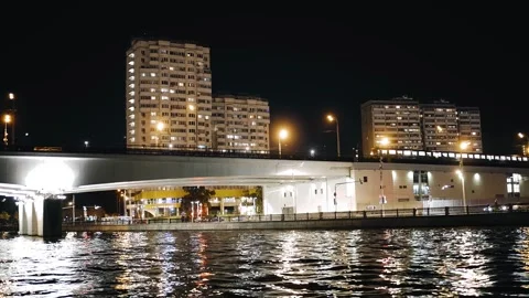 A subway train runs over the bridge over the river at night Stock Footage 317373583