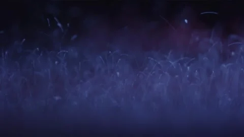 Subwoofer Audio Speaker Vibrations With Blue Glitter. Slow Motion Macro Shot Stock Footage 252906142